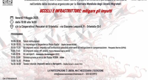 seminario uccelli e infrastrutture
