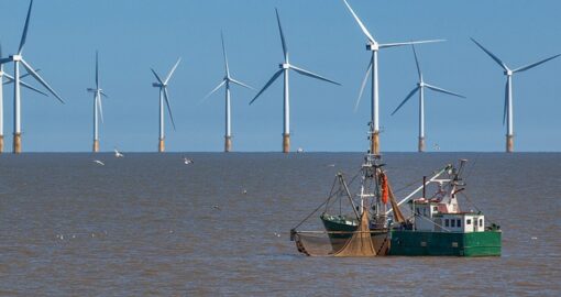 impianti eolici offshore e pesca