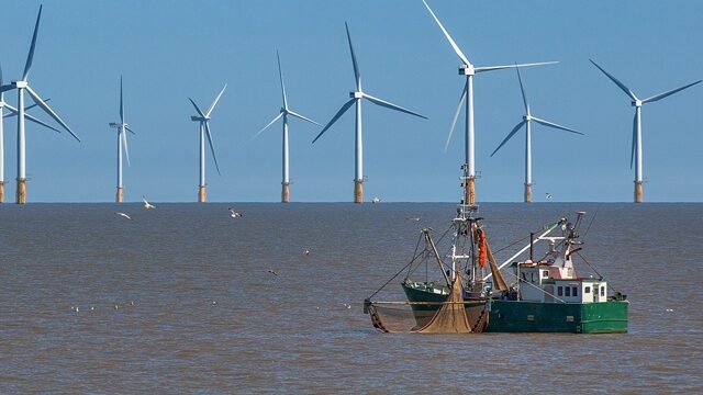 impianti eolici offshore e pesca